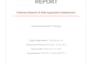 do web network pen test security vulnerability assessment